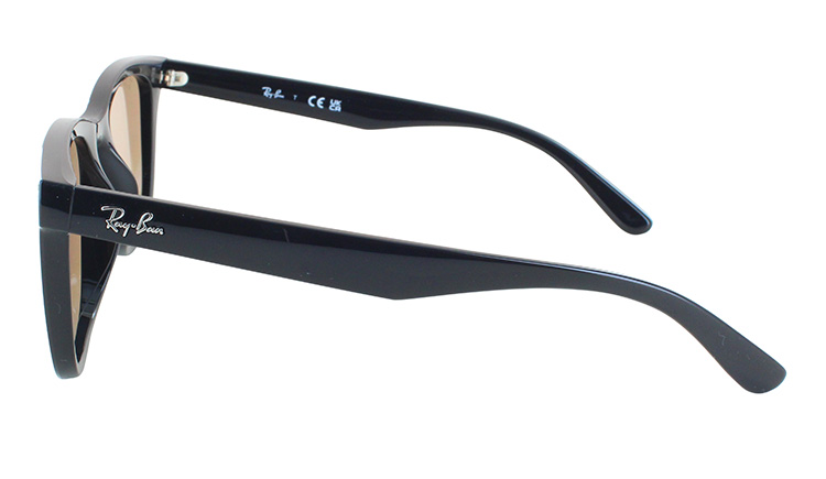 レイバン　サングラス　w1939 rb4391d-60193-65.jpg