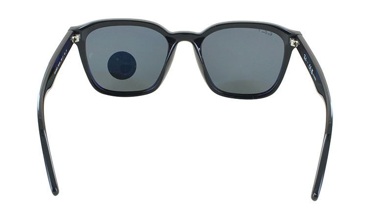 Ray-Ban レイバン 偏光サングラス RB4392D 601/81 66 大きめ