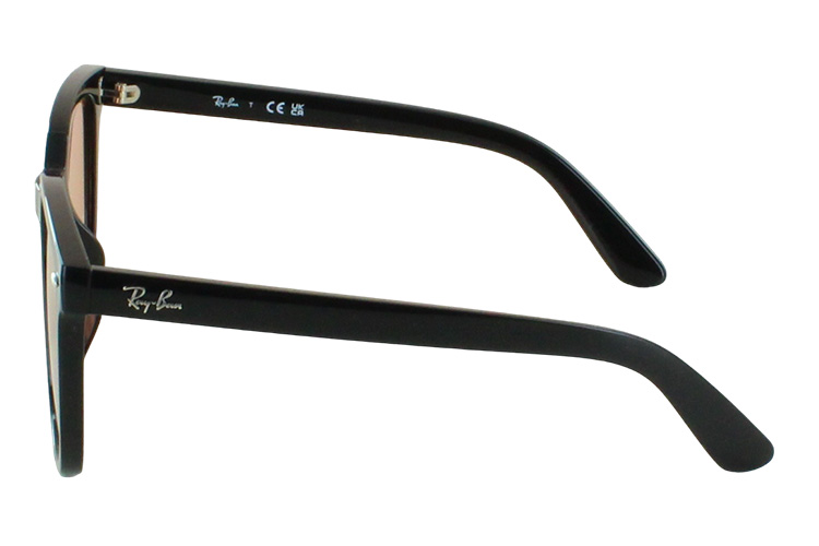 Ray-Ban レイバン サングラス 大きい サイズ RB4401D 601/74 57