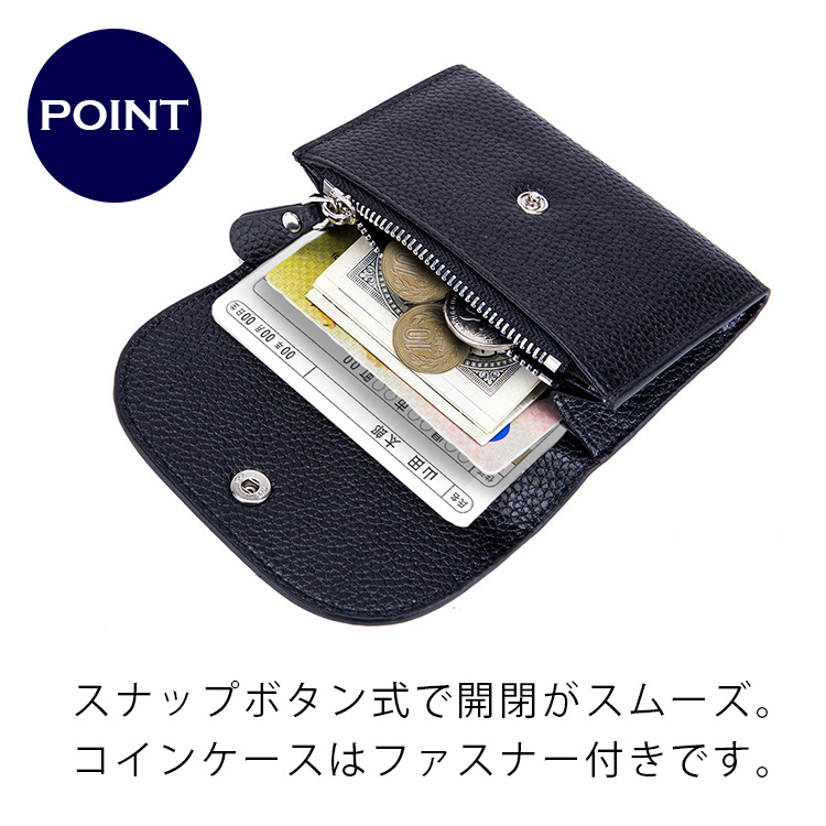 sng-coincase-l95_1.jpg