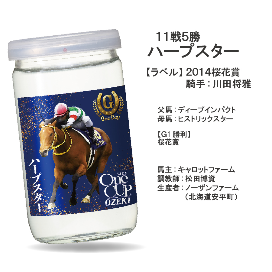 G-OneCup ワンカップ大関 競馬 名馬 - 日本酒