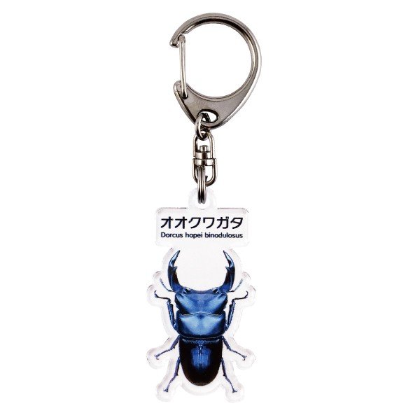 名入れ プレゼント 昆虫 キーホルダー オオクワガタ 子供 チャイルド