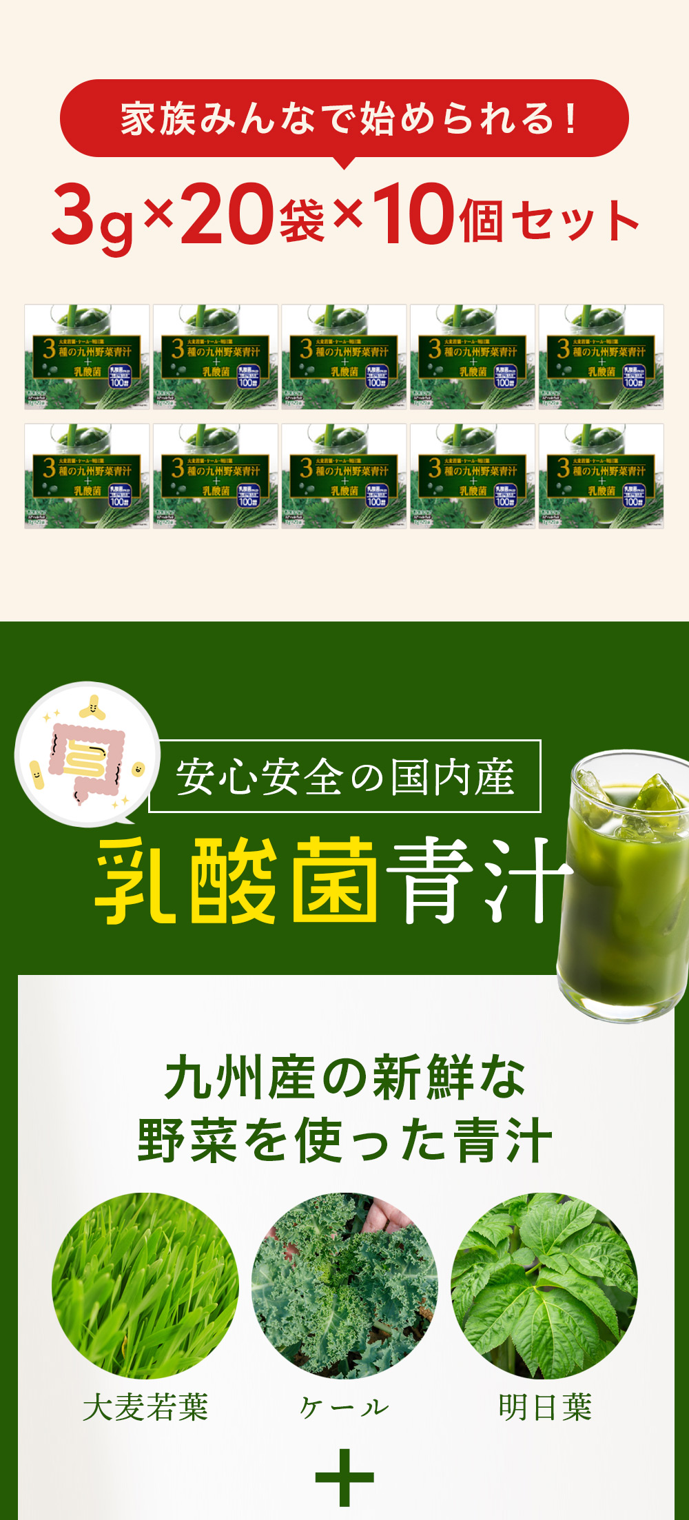 青汁 乳酸菌 粉末タイプ 送料無料 3種の九州産野菜青汁＋乳酸菌 3g×20袋×10個/計200袋(010)