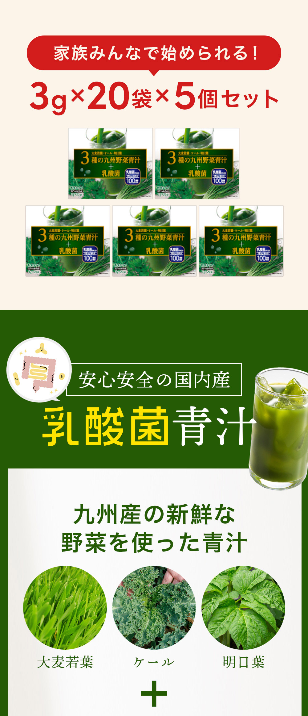 青汁 乳酸菌 粉末タイプ 送料無料 3種の九州産野菜青汁＋乳酸菌 3g×20袋×5個/計100袋(005)