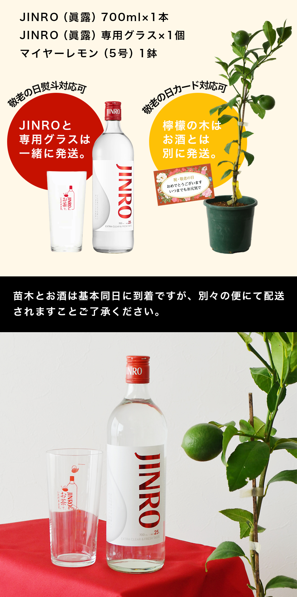 JINRO（眞露） 敬老の日 お酒 ギフト 送料無料 レモンの木とJINRO