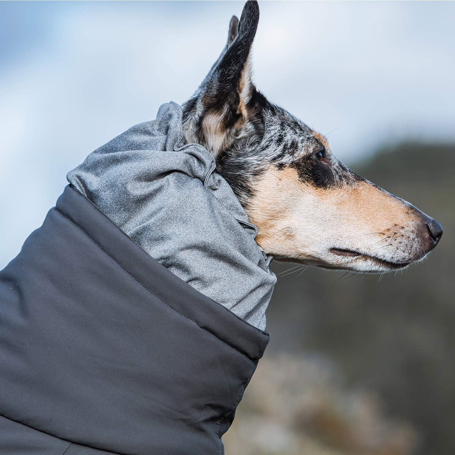 フルッタ Hurtta 犬服 オーバーオール フィンランドのドッグブランド