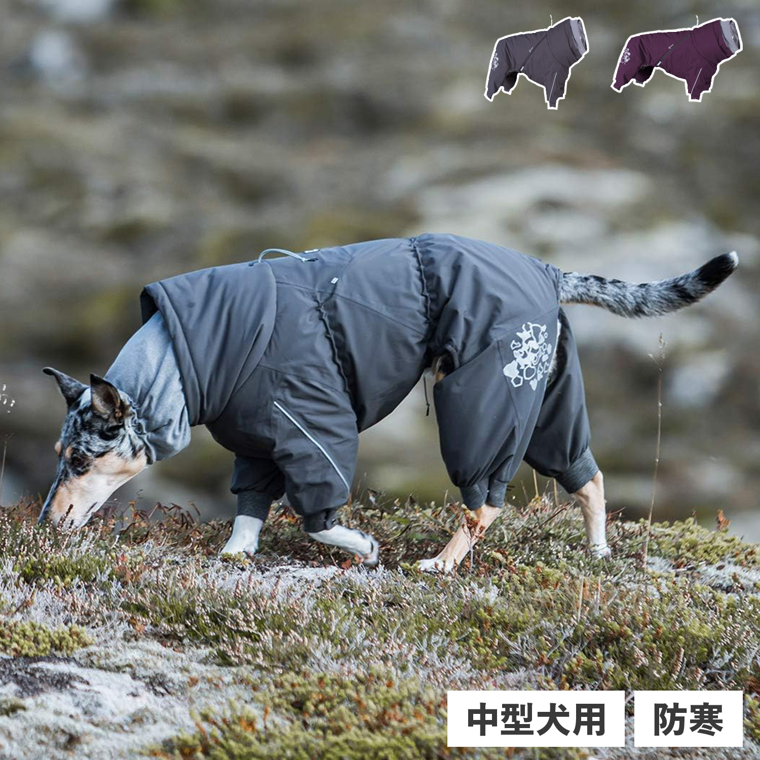 フルッタ Hurtta 犬服 オーバーオール フィンランドのドッグブランド