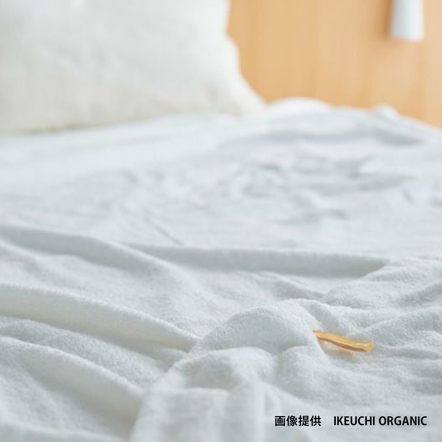 イケウチオーガニック（IKEUCHI ORGANIC） タオルケット バスタオル 綿