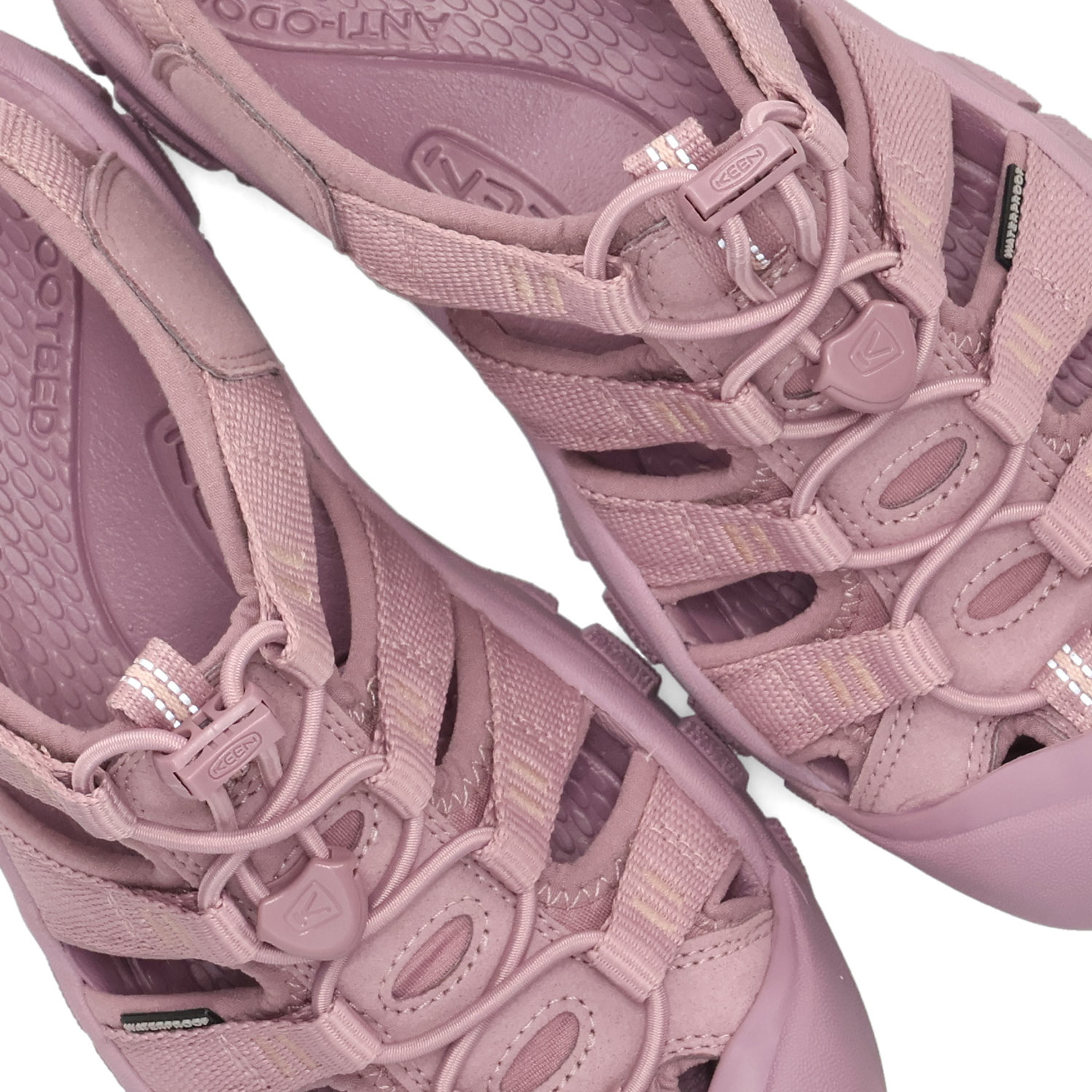 keen-1030548_7.jpg