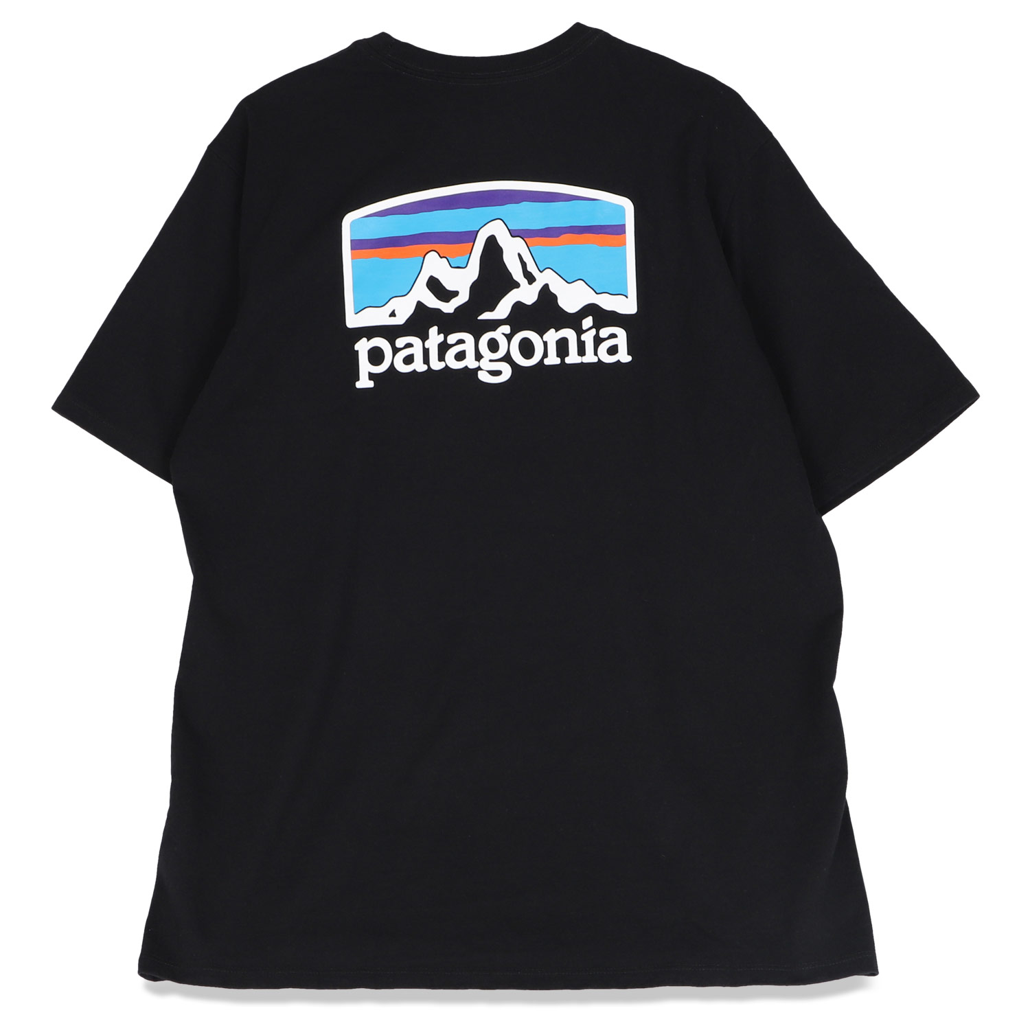 patagonia パタゴニア Tシャツ 半袖 メンズ レディース FITZ ROY HORIZONS RESPONSIBILI TEE ブラック ホワイト グレー 黒 白 38501｜biget｜02