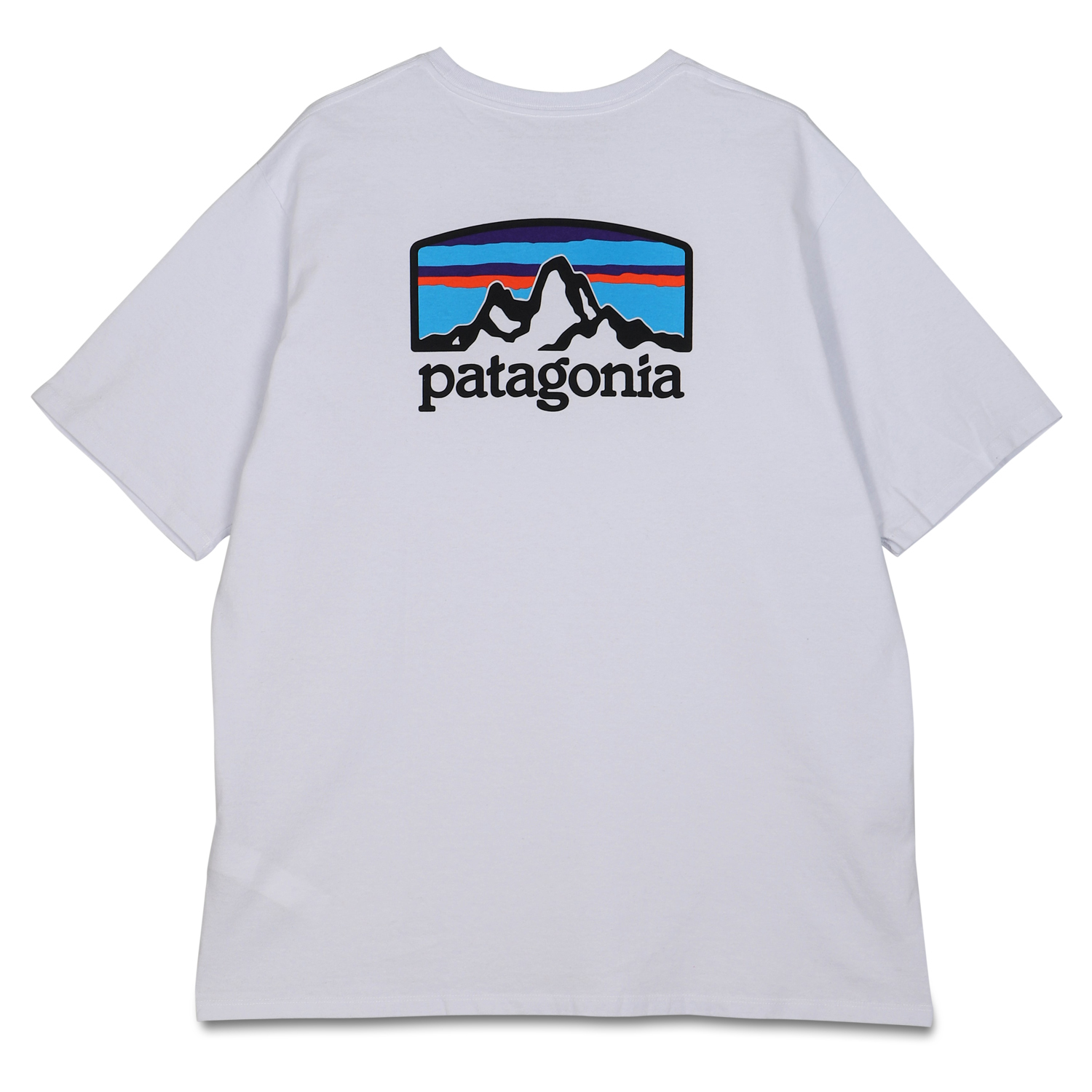 patagonia パタゴニア Tシャツ 半袖 メンズ レディース FITZ ROY HORIZONS RESPONSIBILI TEE ブラック ホワイト グレー 黒 白 38501｜biget｜04