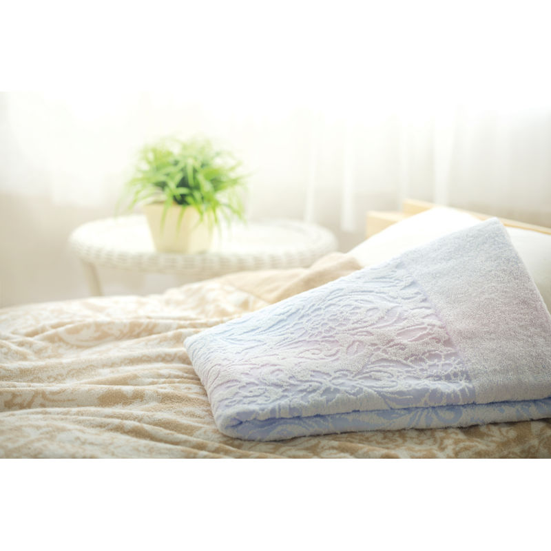 年内終了・1月より順次）今治プリマクラッセ タオルケット2P IPT-25018