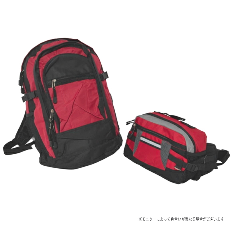 在庫処分SALE（訳あり 箱なし）送料無料 ヴィオレント リュックサック