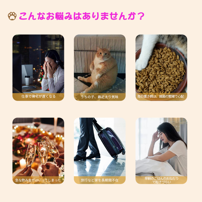 Ciaobot (チャオボット) 自動給餌機 猫2匹 自動餌やり機 猫カメラ 餌