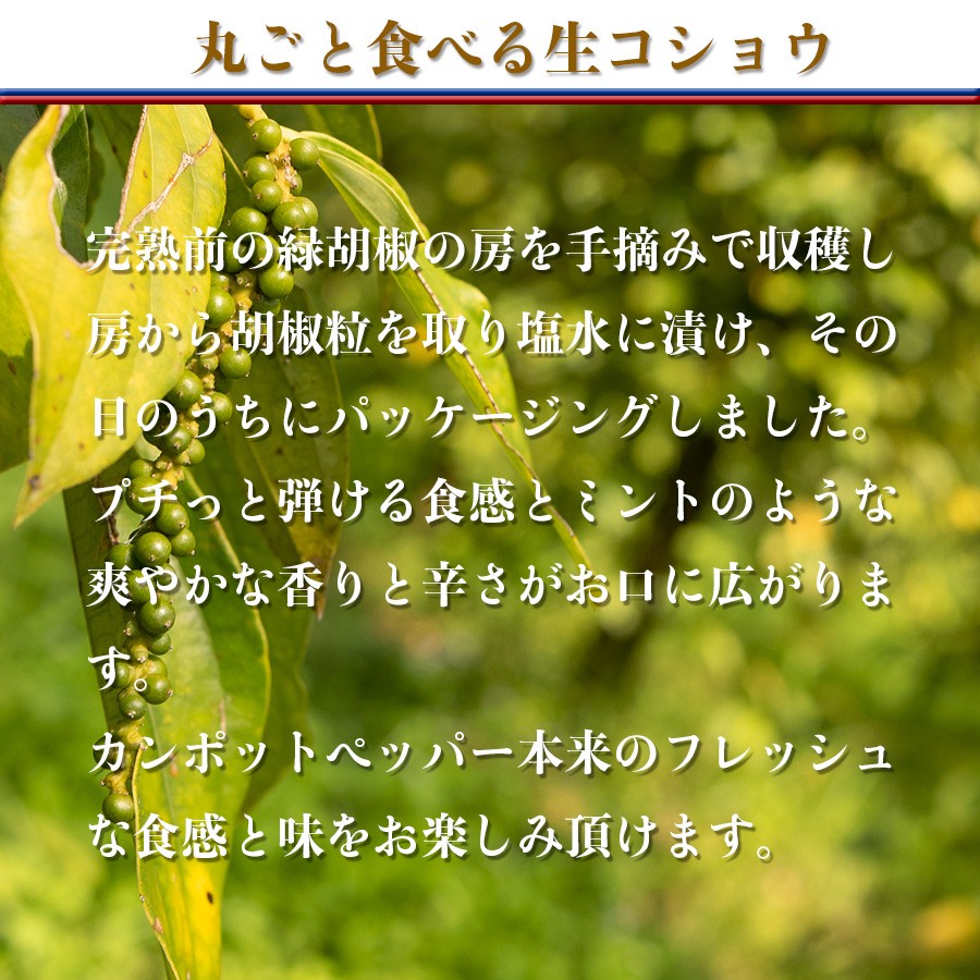 塩漬け 生胡椒 カンポットペッパー プレミアム塩水漬け生胡椒 g カンボジア こしょう スパイス 注目の福袋をピックアップ