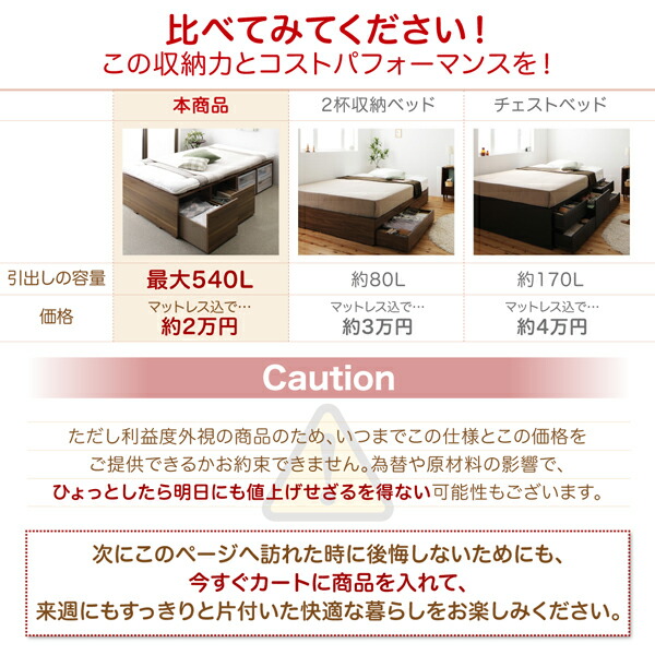 ベッド 収納付きベッド フィッツ マットレス付き 収納 収納付 収納