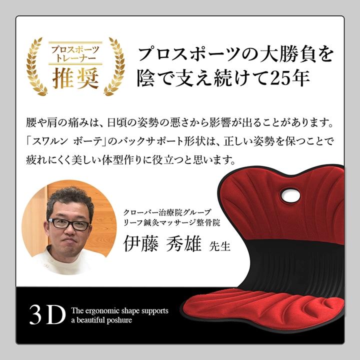 姿勢矯正 座椅子 クッション スワンル ボーテ swanru 姿勢 サポート