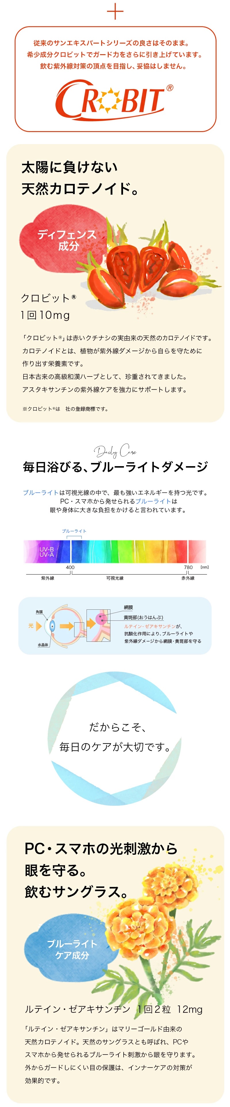 お得セットプロテクトエナジー トリプルブロック (120粒) &紫外線対策