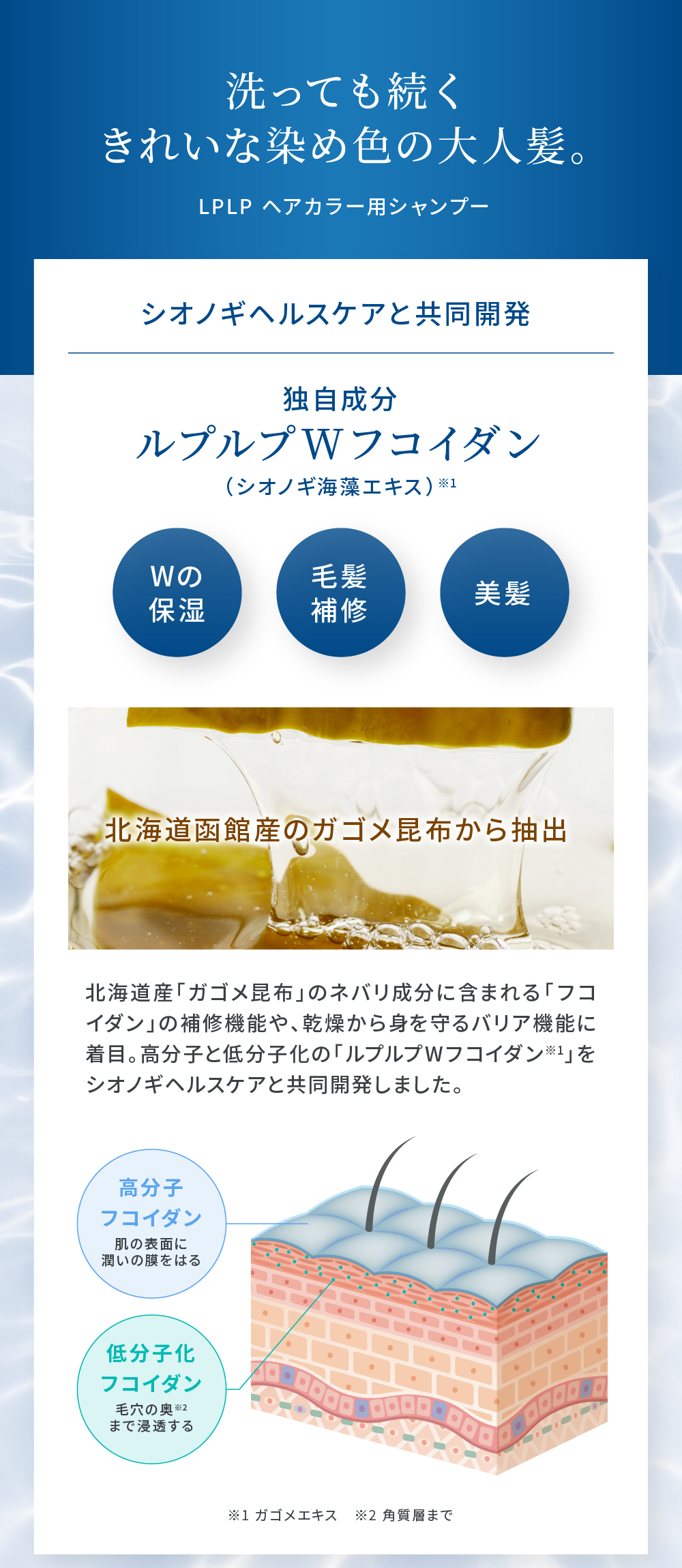 LPLP ヘアカラー用シャンプー本体＆パウチ LPLP(ルプルプ) / ヘアカラー用シャンプー 本体の公式商品情報｜美容