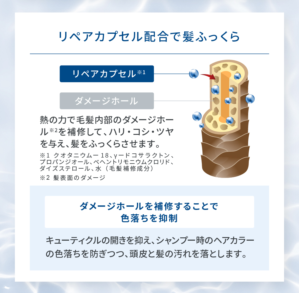 LPLP ヘアカラー用シャンプー ボトル 詰め替え セット LPLP 【公式】ルプルプ ヘアカラー用シャンプー パウチ 詰め替え