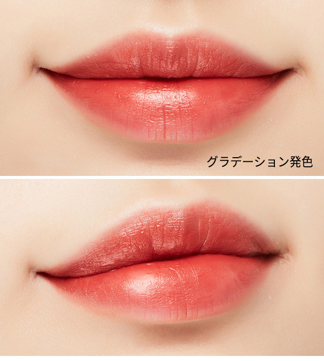 リップ ペンシル x2本 Amazon | ザ セム(The Saem) 日本公式 カバーパーフェクション
