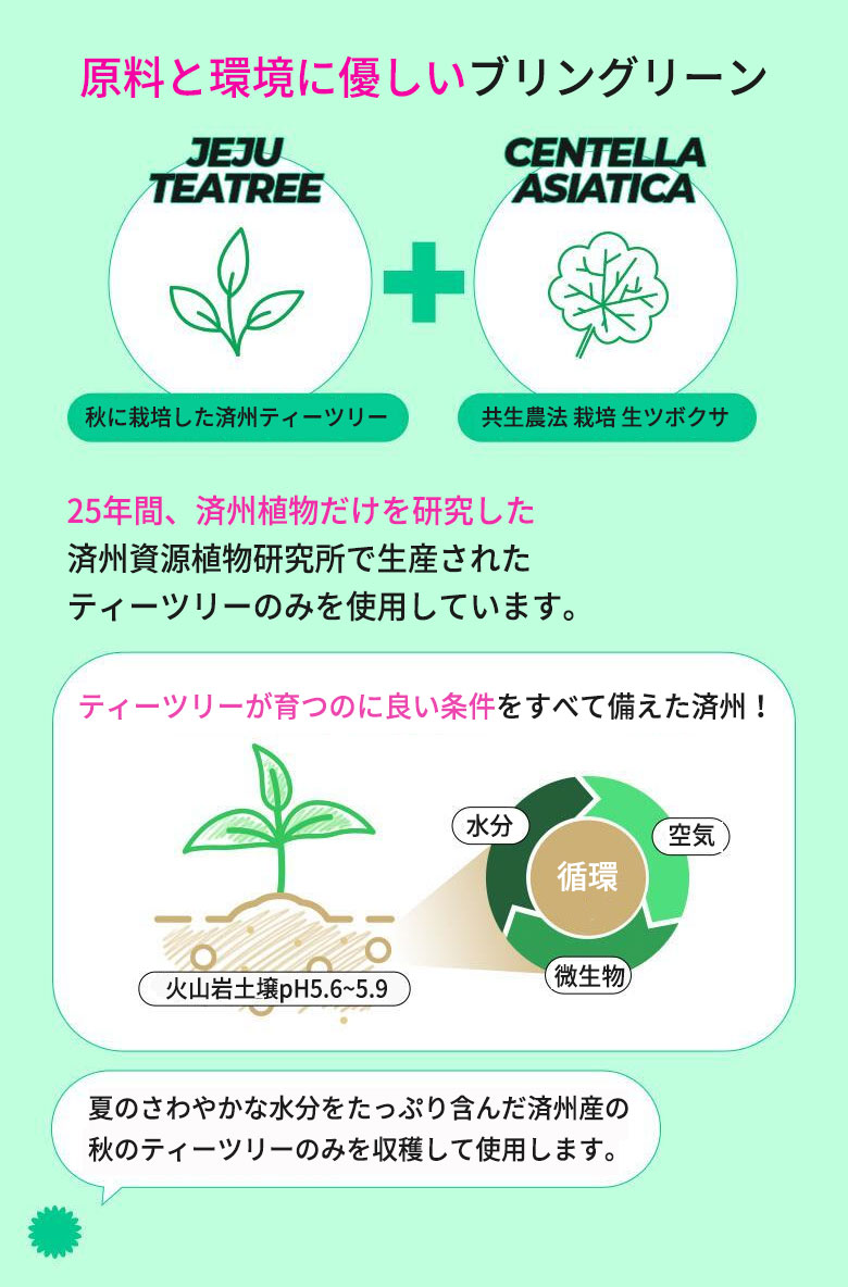 [韓国製] 韓国限定 アクリルバインダーオリーブグリーン Amazon.co.jp: 韓国限定 アクリルバインダー 貯金現金生活