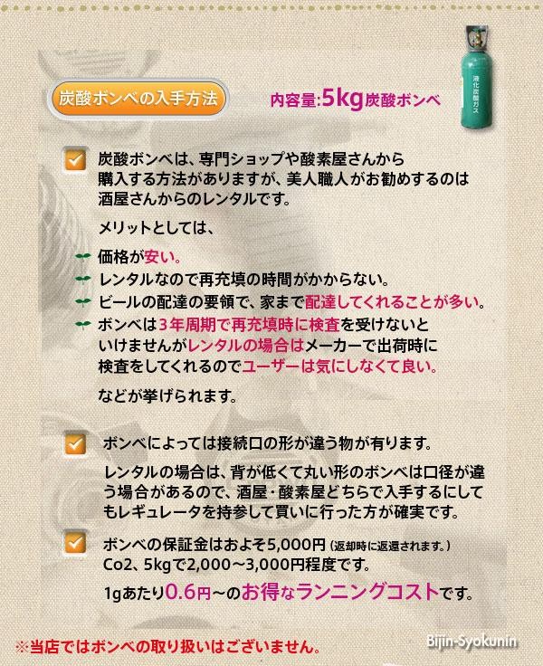 炭酸ミスト　業務用　 あすつく 送料無料　酸ミストシャワーをプロユースに改良大容量ボンベ5kgの使用で低コスト！(プレゼント ギフト)