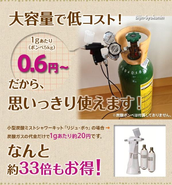 炭酸ミスト 業務用 あすつく 送料無料 酸ミストシャワーをプロユースに