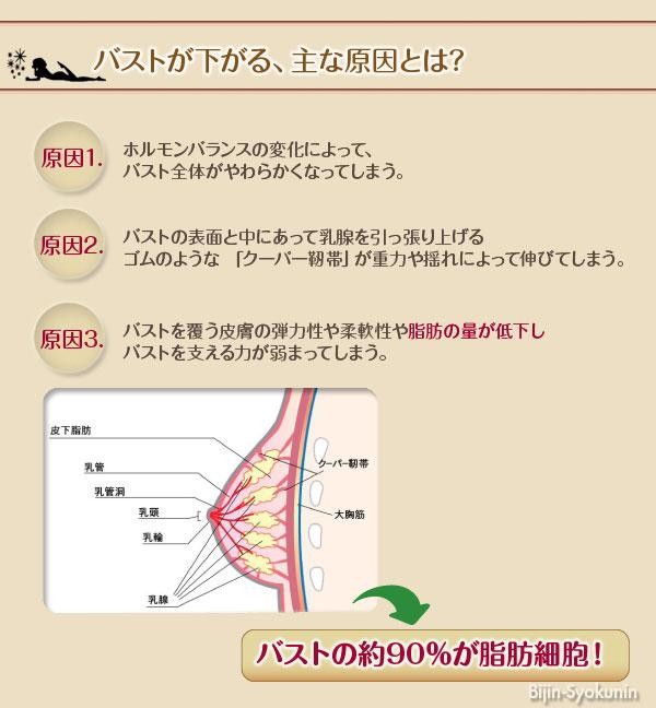 etBUST エットバストブレストエッセンス