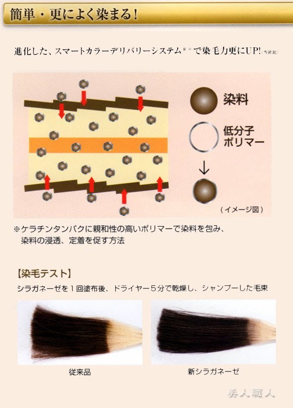 NEW ビアント シラガネーゼ ポイントリッチカラー4代目SHIRAGANEZE POINT RICH COLOR(20g) あすつく(３個で送料無料)(プレゼント  ギフト) :shiraganeze4:美人職人 プロ 業務用 美容専売品 - 通販 - Yahoo!ショッピング