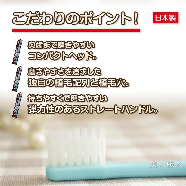 ライフレンジ 歯ブラシ職人 田辺重吉の磨きやすい歯ブラシ 先細