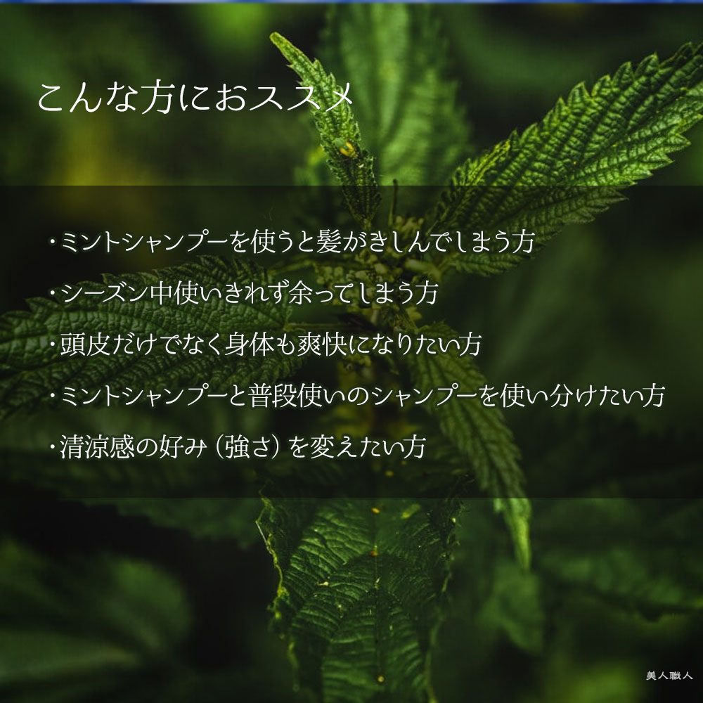 テクノエイト ブリーズベール ロハス ミントプラス 150ml : 美人職人