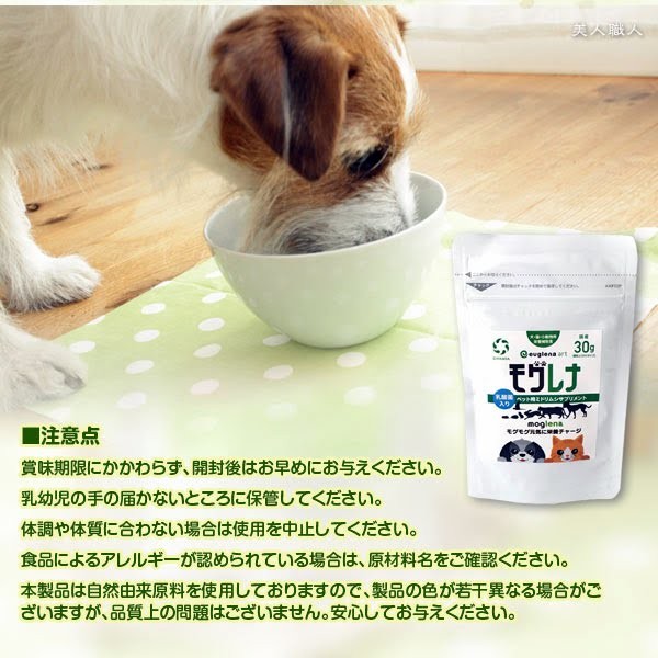 送料無料 モグレナ 30g 正規取扱店 愛犬ペットサプリ ミドリムシのちからがリニューアル ユーグレナ サプリメント ミドリムシ あすつく Midorimushino Dog 美人職人 ヘアアイロン 美容専売品 通販 Yahoo ショッピング