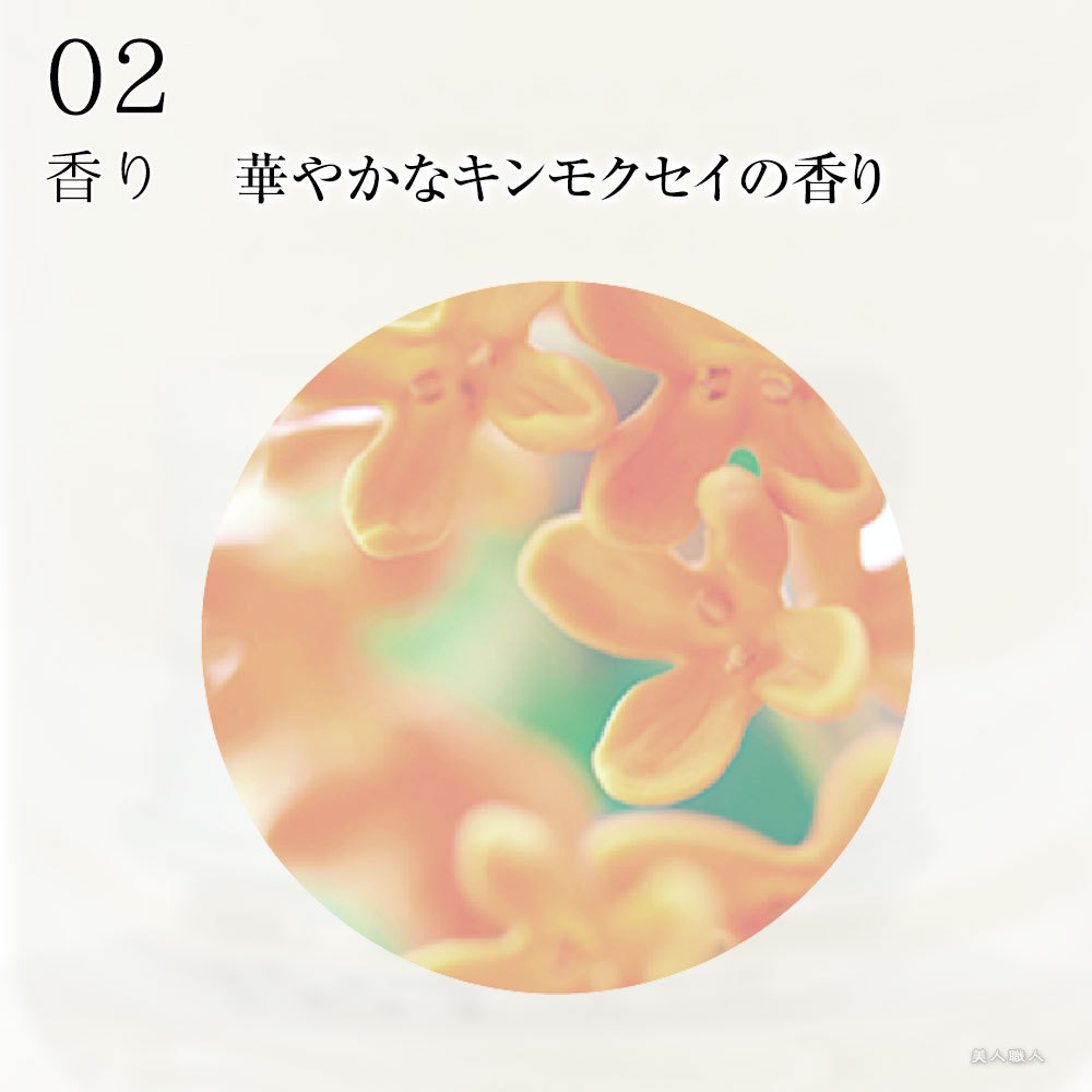 MUCOTA（ムコタ） プロミル コロン 100g Promille Cologne｜ 送料無料