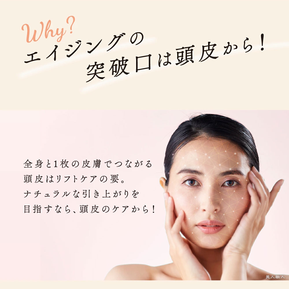 WAVEWAVE 正規販売店 EMS スカルプ ヘッドスパ