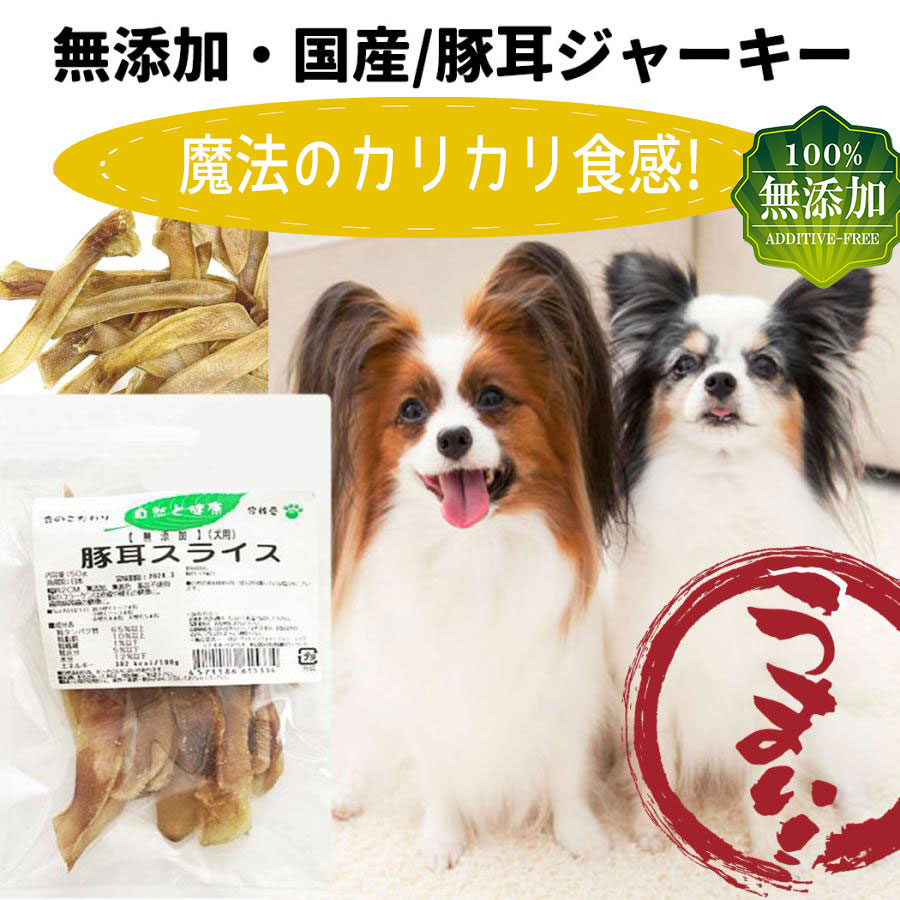 犬 おやつ 無添加 国産 豚耳ジャーキー 硬い 低脂肪 歯磨きガム ギフト