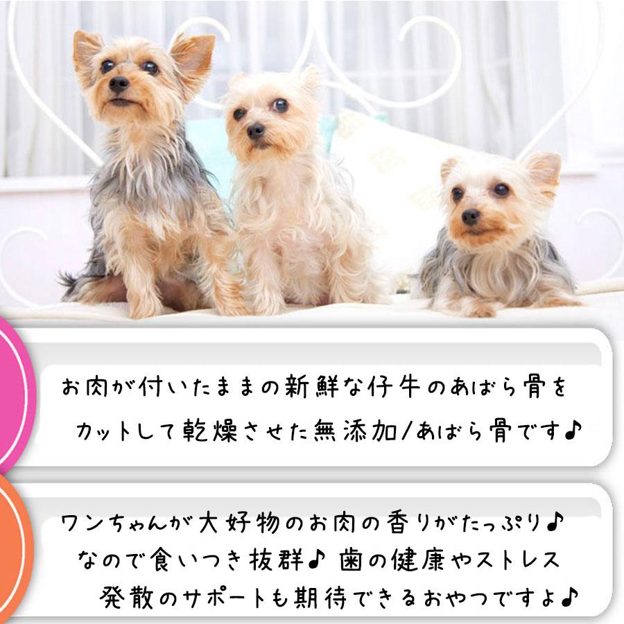 犬 おやつ 犬のおやつ 無添加 牛 牛肉 骨 低脂肪 ギフト ドッグフード 