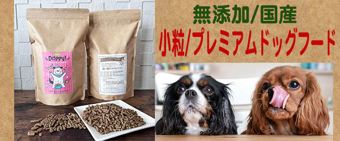 小型犬中型犬用/無添加国産プレミアムドッグフード小粒