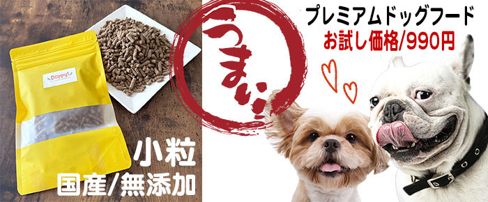 お試しドッグフード