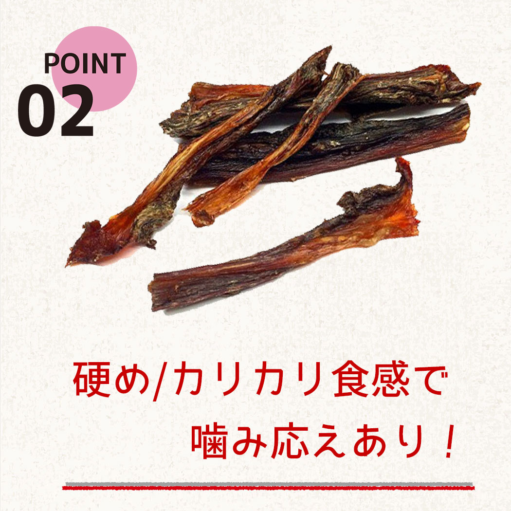 犬 おやつ 無添加 馬のすね肉 馬肉 歯磨きガム デンタルガム