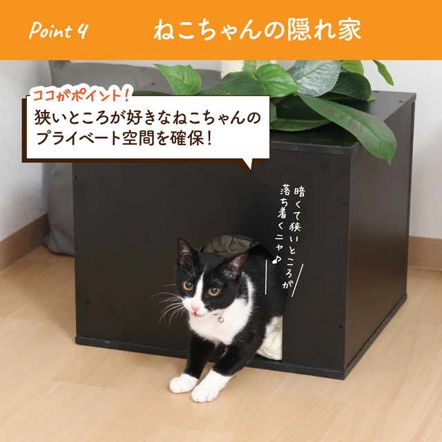 フェイクグリーン付き キャットタワー つっぱり式  突っ張り 天井 スリム おしゃれ おすすめ シンプル 爪とぎ 隠れ家付き 木製_6