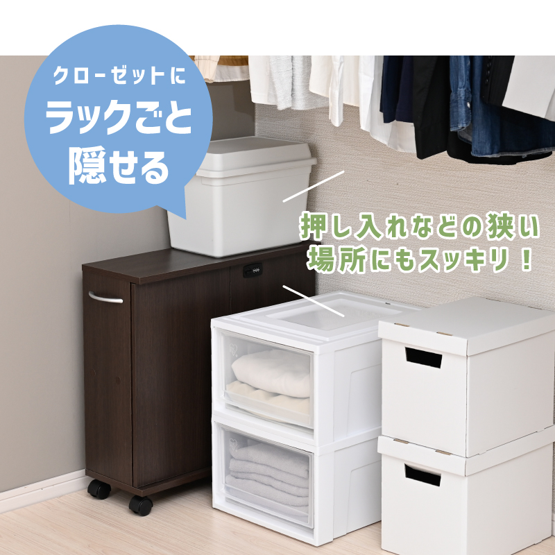推し入れラック 同人誌 収納ラック 同人誌ラック 扉付き 押し入れ収納