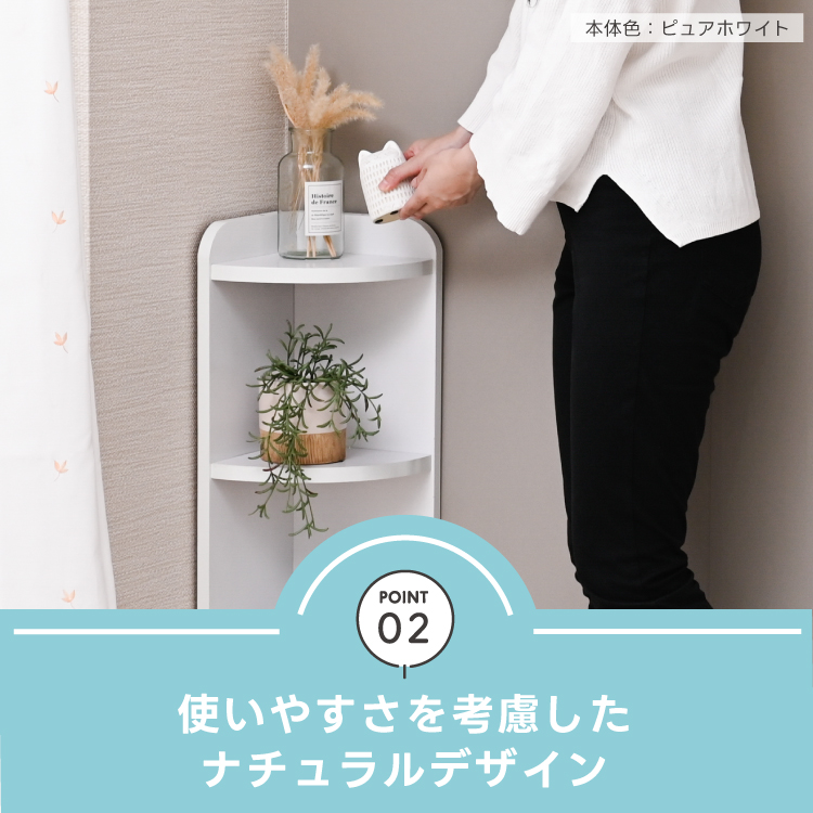 コーナーラック カウンター下収納 幅22cm 奥行25cm ロータイプ