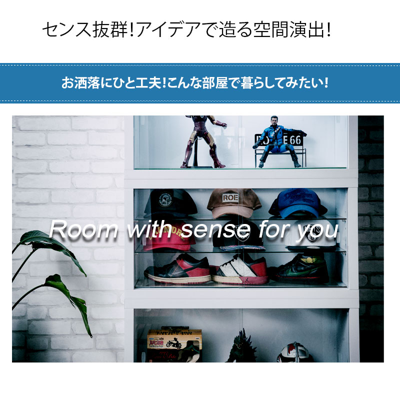 RECTA コレクションボード 棚無し LEDなし タイプ コレクションケース