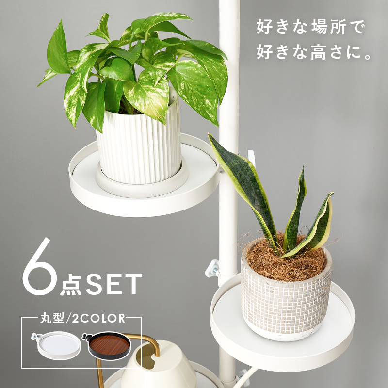 突っ張りラック 丸型 6点セット つっぱり棒 おしゃれ突っ張り棚 5段