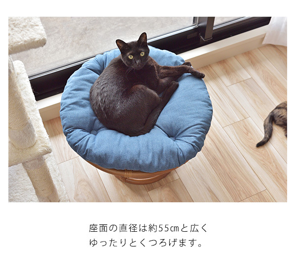 人も座れる ペットベッド スツール ロータイプ クッション ラタン 籐