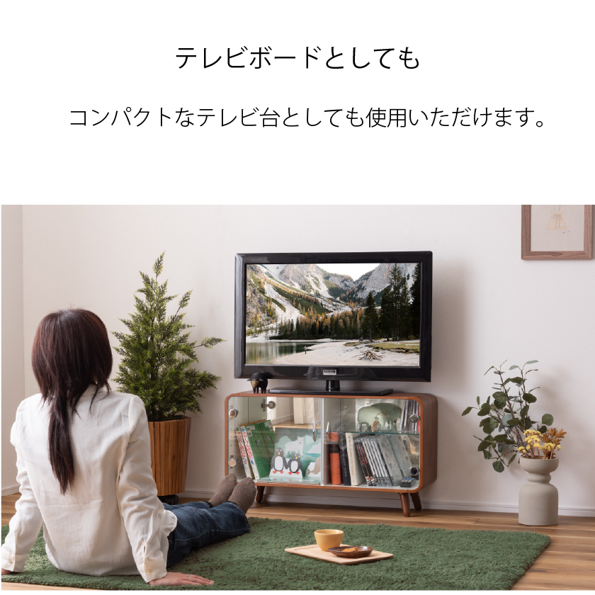 コレクションキャビネット ガラス扉 ロータイプ コレクションラック