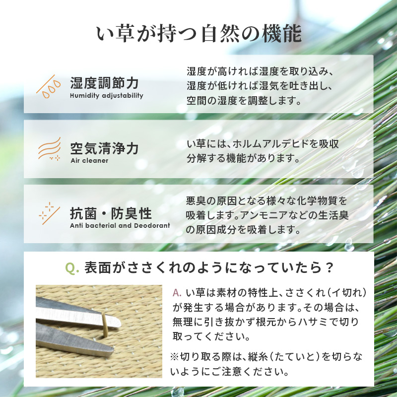 畳で作る収納＆寛ぎ空間 小上がり 畳 正方形 60×60 ハイタイプ 高さ４5 収納付き フローリング 後付け インテリア レイアウト