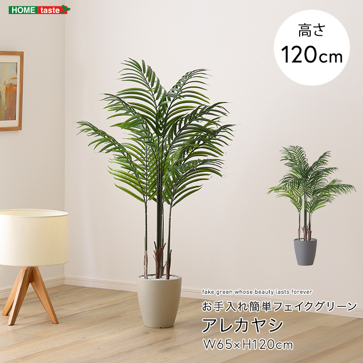  uǉv AJV tFCNO[ STCY 120cm  ^  lH ϗtA A  rO ItBX t X CeA Aؔ