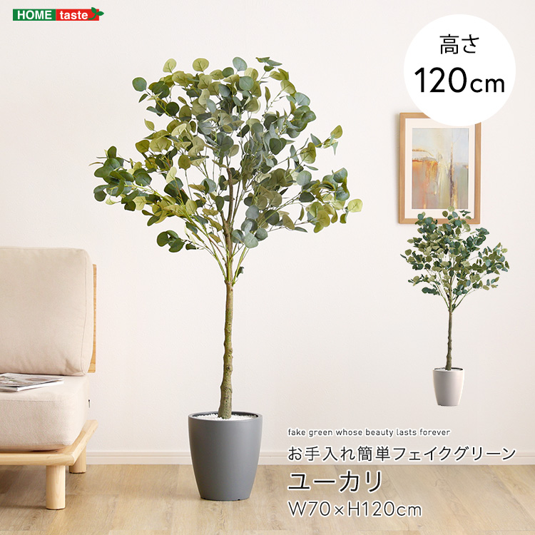 [J tFCNO[ STCY 120cm  ^  lH ϗtA A  rO ItBX t X CeA Aؔ  